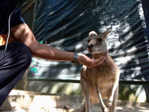 現地にいる気分になりました！