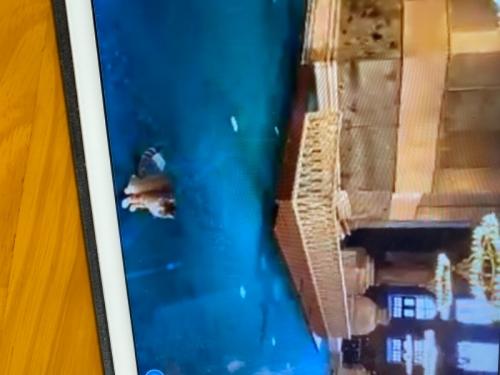 ひさびさにリラックスできました。