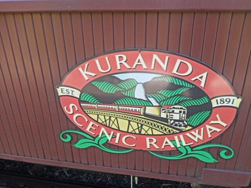 コアラに会いにキュランダに行きたくなりました