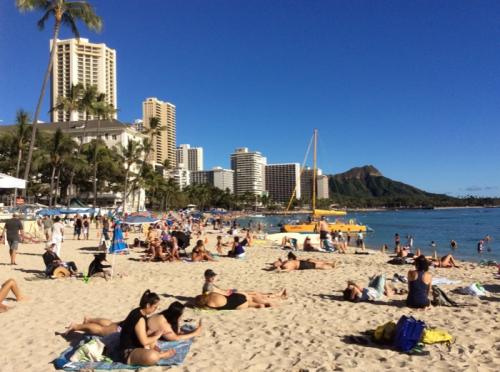 楽しかったバーチャルハワイ! 楽しかったバーチャルハワイ!