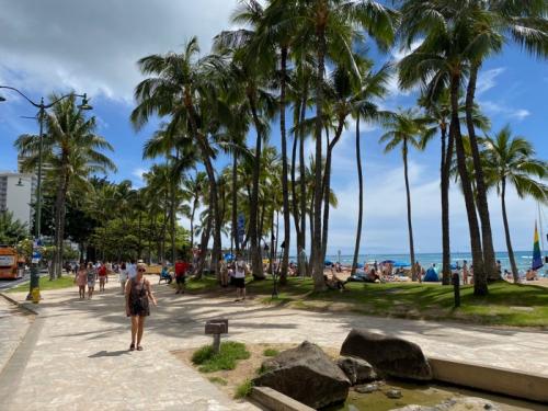 楽しかったバーチャルハワイ! 楽しかったバーチャルハワイ!