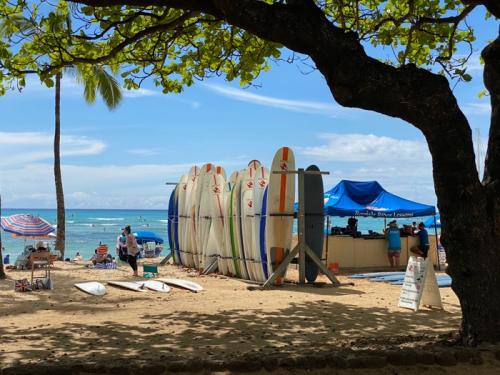 楽しかったバーチャルハワイ! 楽しかったバーチャルハワイ!