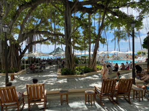 楽しかったバーチャルハワイ! 楽しかったバーチャルハワイ!