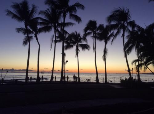 楽しかったバーチャルハワイ! 楽しかったバーチャルハワイ!