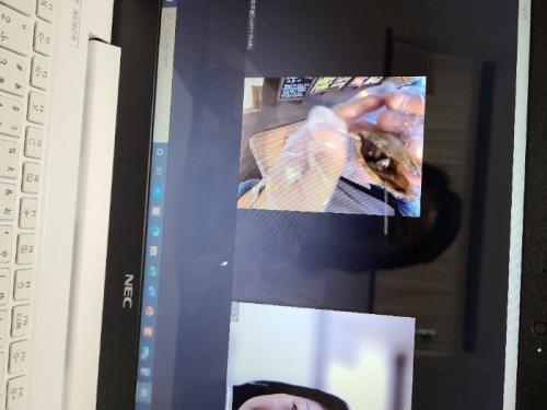 久しぶりの癒しの時間♪