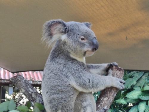 楽しかった 楽しかった