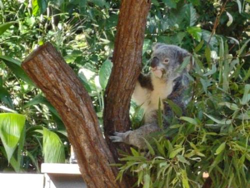 楽しかった 楽しかった