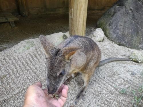 楽しかった 楽しかった