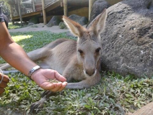 楽しかった 楽しかった