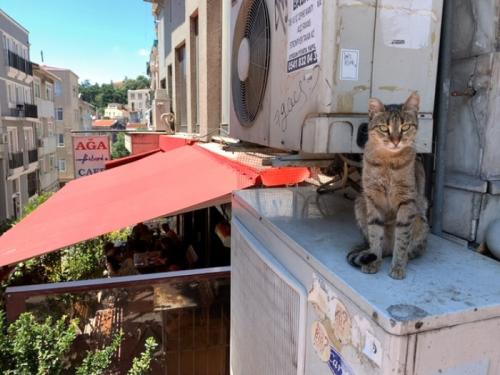 楽しかったです