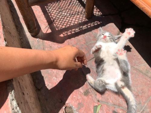 楽しかったです