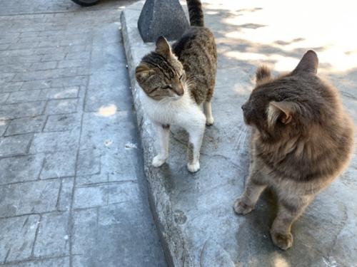 楽しかったです