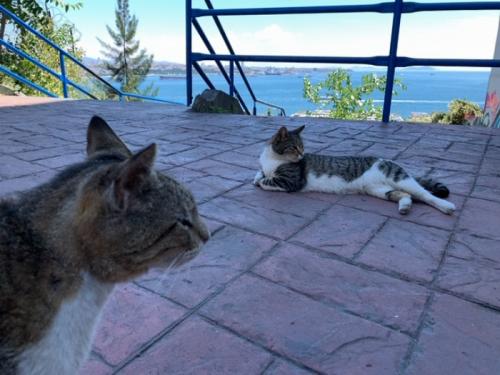 楽しかったです