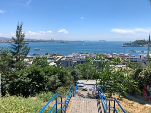 楽しかったです