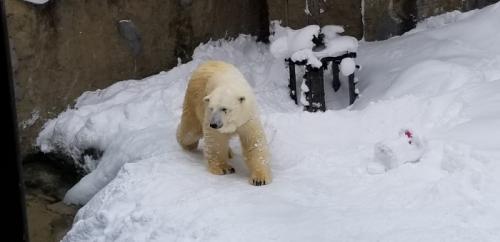 大昔に行ってから、ご無沙汰です。