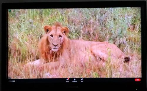 第二弾を期待しています! 第二弾を期待しています!