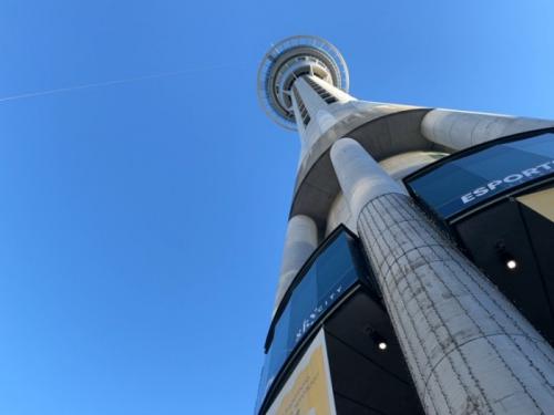 いい経験でした❗ いい経験でした❗