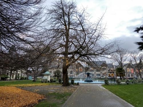 いい経験でした❗ いい経験でした❗