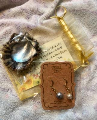 家族用にもう一度参加したい