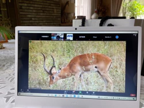 とても楽しかったです