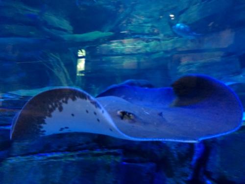 初体験でした！