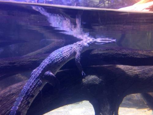 初体験でした！