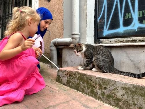 旅した気分 旅した気分