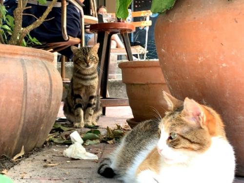 旅した気分 旅した気分