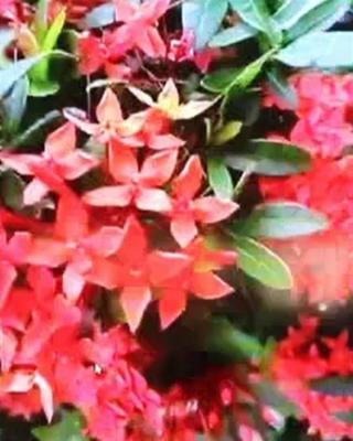 楽しい時間を過ごせました 楽しい時間を過ごせました