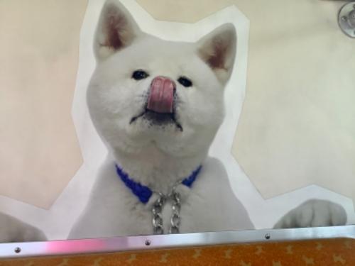 楽しかった〜 楽しかった〜