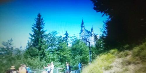 バーチャル旅行最高だわ!時に合った楽しみ方 バーチャル旅行最高だわ!時に合った楽しみ方