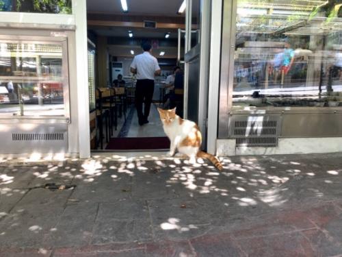 イスタンブールにも行ってみたい！