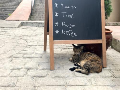 イスタンブールにも行ってみたい！