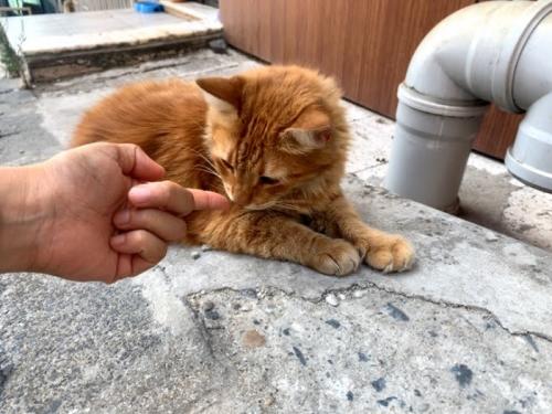 イスタンブールにも行ってみたい！