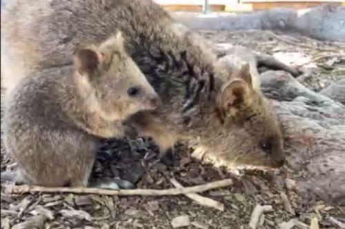 沢山の質問にリアルタイムで答えてくれ最高！