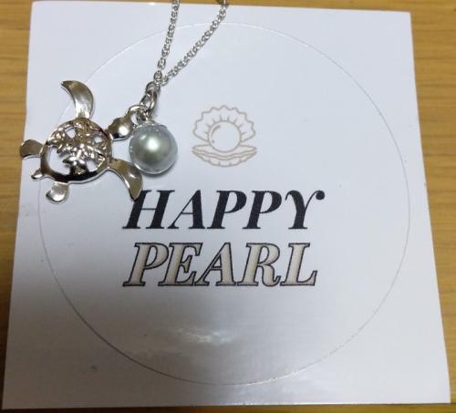 夏休みの思い出に