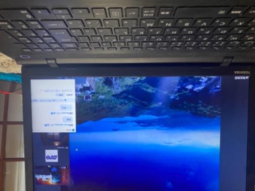 めっちゃ良かったです。