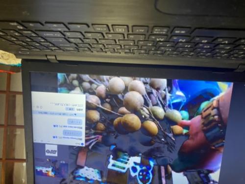 めっちゃ良かったです。