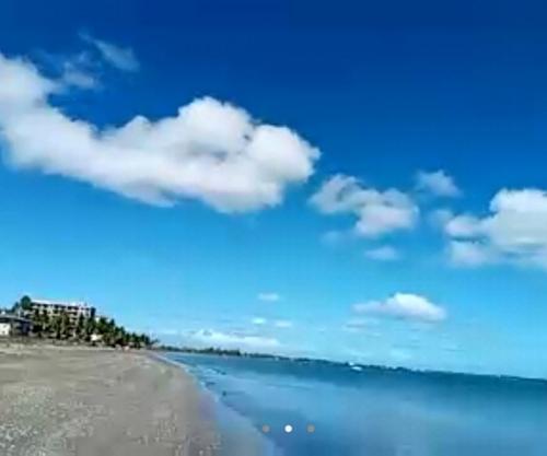 朝の散歩に癒されました