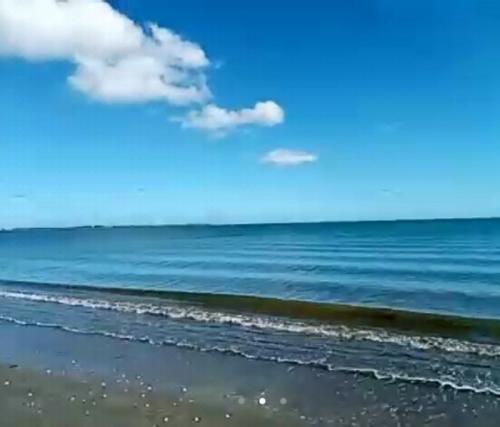 朝の散歩に癒されました