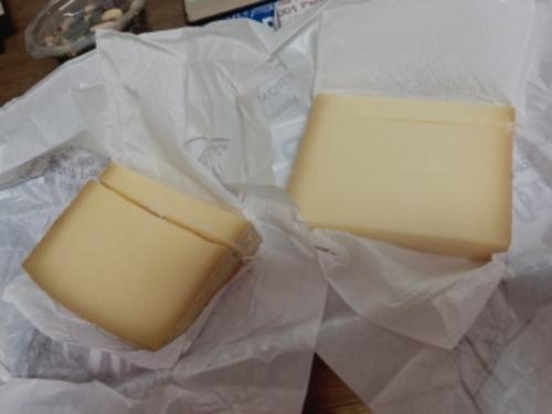 今年の秋はコンテ三昧