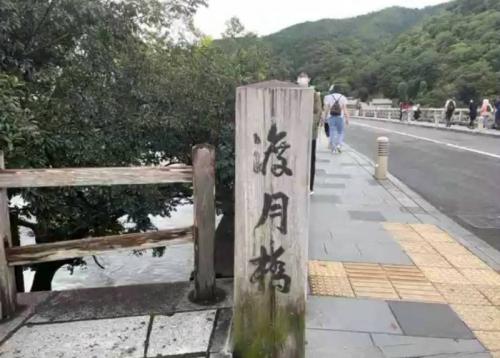 初めての嵐山♪ 初めての嵐山♪