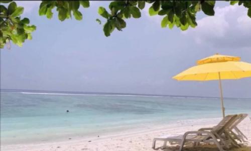 初めてのフルマーレ♪\(^o^)/ 初めてのフルマーレ♪\(^o^)/