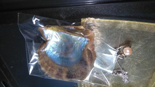 とても癒されました とても癒されました