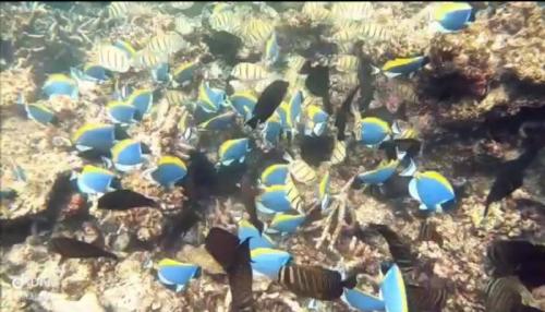 最高で～す♪(*^^*)