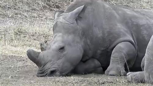 楽しかったです♪