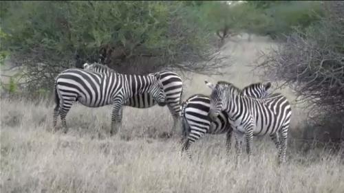 楽しかったです♪