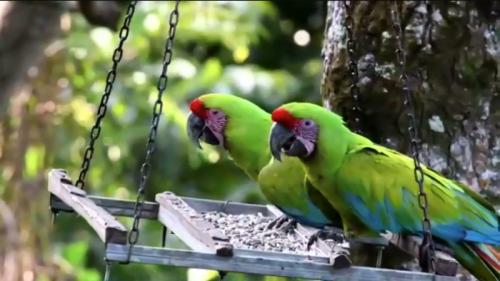 楽しかったです♪