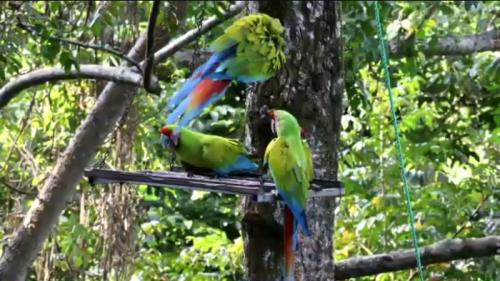 楽しかったです♪