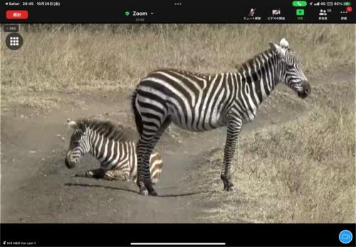 たくさん見られました！